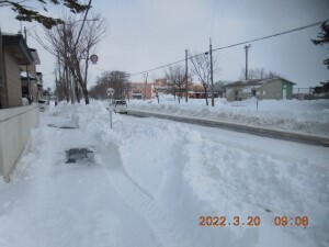 DSCN6178s.jpg