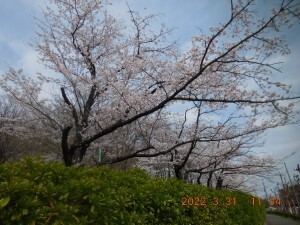 DSCN6206s.jpg