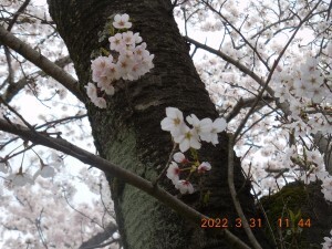 DSCN6232s.jpg
