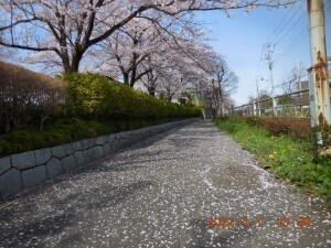 DSCN6298s.jpg