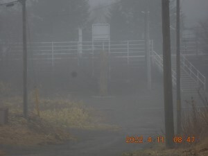 DSCN6324s.jpg